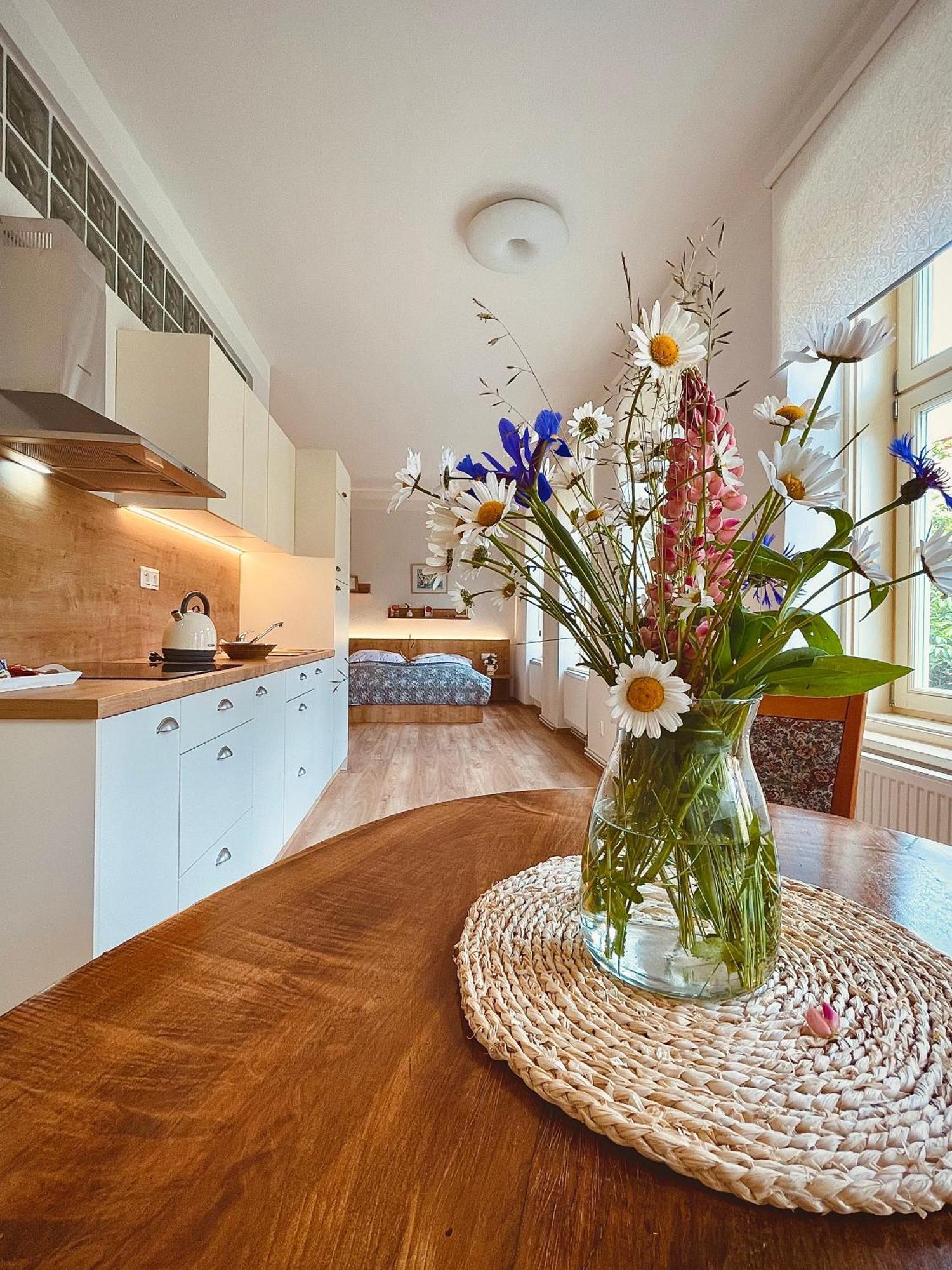 Apartmany Basta & Wellness Sušice Kültér fotó
