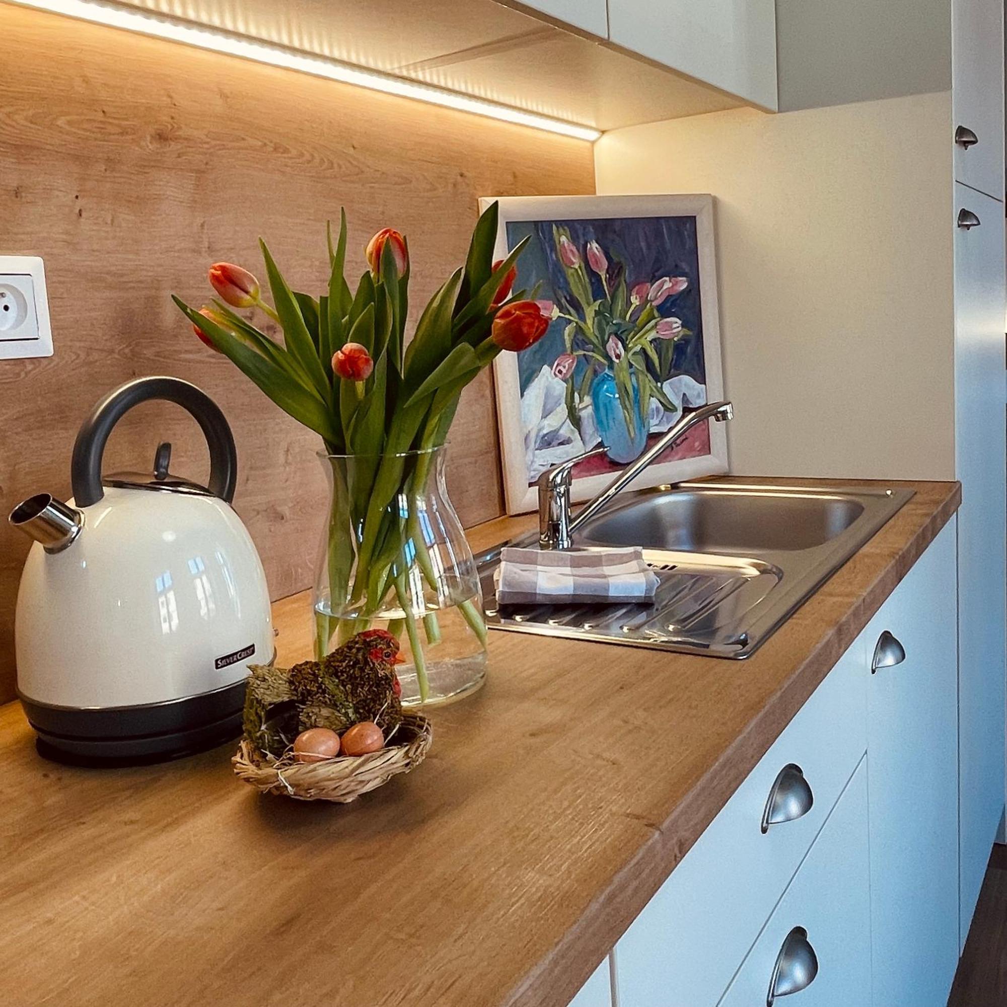 Apartmany Basta & Wellness Sušice Kültér fotó
